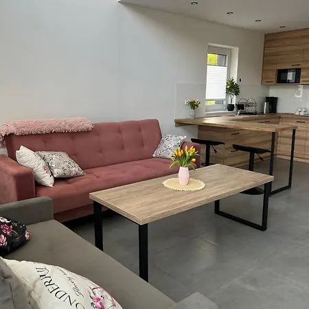 4 Zywioly-noclegi W Beskidach Basen Sauna Jacuzzi * Koziniec